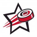 Carolina Hurricanes Hockey Goal Star iron on transfer