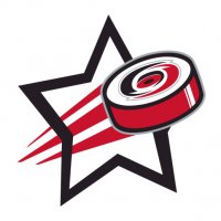 Carolina Hurricanes Hockey Goal Star iron on transfer