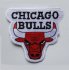 Chicago Bulls 1966-Pres Primary Logo