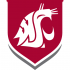 1995-Pres Washington State Cougars Alternate Logo Iron-on Stickers (Heat Transfers)