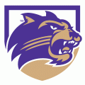 2008-Pres Western Carolina Catamounts Secondary Logo Decals Stickers