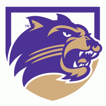 2008-Pres Western Carolina Catamounts Secondary Logo Decals Stickers