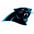 2012 Carolina Panthers Primary Logo  Iron-on Stickers (Heat Transfers)