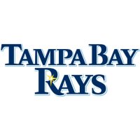 Tampa Bay Rays Script Logo  Iron-on Stickers (Heat Transfers) version 2