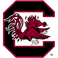 1983-Pres South Carolina Gamecocks Primary Logo Iron-on Stickers (Heat Transfers)