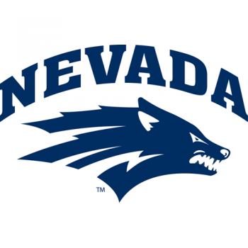 2008-Pres Nevada Wolf Pack Primary Logo Decals Stickers