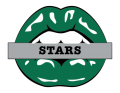 dallas stars script logo iron on transfers