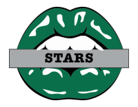 dallas stars script logo iron on transfers