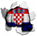 hulk CROATIA Flag iron on transfer