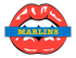 miami marlins script logo iron on transfers