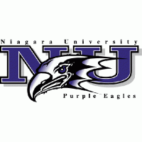 2001-Pres Niagara Purple Eagles Primary Logo Decals Stickers