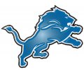 detroit lions 2009-pres primary plastic effect logo decal sticker