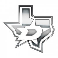 Dallas Stars silver logo iron on transfer