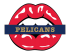 new orleans pelicans script logo iron on transfers