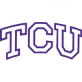 1995-Pres TCU Horned Frogs Wordmark Logo Iron-on Stickers (Heat Transfers)