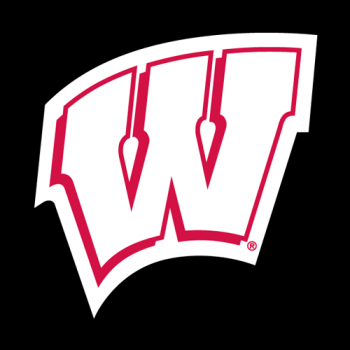 1991-Pres Wisconsin Badgers Alternate Logo Decals Stickers