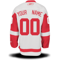 Detroit Red Wings Custom Letter and Number Kits for Road Jersey