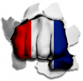 hulk FRANCE Flag iron on transfer