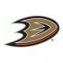 Anaheim Ducks 2013 14-Pres Primary Logo Iron-on Stickers (Heat Transfers)