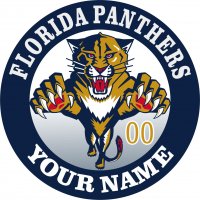 Florida Panthers iron on transfer