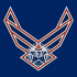 Airforce Edmonton Oilers Logo