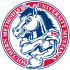 1995-Pres Southern Methodist Mustangs Alternate Logo Iron-on Stickers (Heat Transfers)