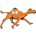 Campbell Fighting Camels 2008-Pres Alternate Logo Decals Stickers