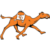 Campbell Fighting Camels 2008-Pres Alternate Logo Decals Stickers