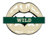 minnesota wild script logo iron on transfers