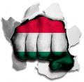 hulk HUNGARY Flag iron on transfer