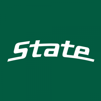 0-Pres Michigan State Spartans Wordmark Logo Iron-on Stickers (Heat Transfers)