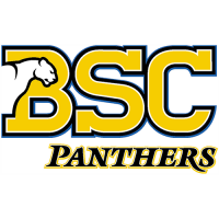 Birmingham-Southern Panthers 1991-Pres Alternate Logo Decals Stickers