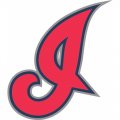 Cleveland Indians Cap Logo  Iron-on Stickers (Heat Transfers)