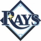 Tampa Bay Rays Iron Ons