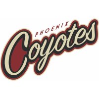 Phoenix Coyotes Script Logo  Iron-on Stickers (Heat Transfers)