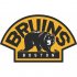 Boston Bruins Alternate Logo  Iron-on Stickers (Heat Transfers) version 1