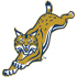 2002-Pres Quinnipiac Bobcats Alternate Logo Iron-on Stickers (Heat Transfers)