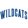 1991-Pres Villanova Wildcats Wordmark Logo Decals Stickers