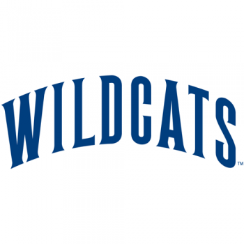 1991-Pres Villanova Wildcats Wordmark Logo Iron-on Stickers (Heat Transfers)