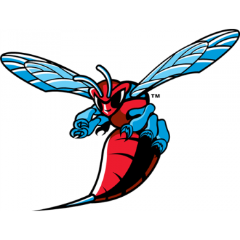 2004-Pres Delaware State Hornets Primary Logo