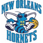 New Orleans Hornets Iron Ons