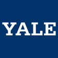 0-Pres Yale Bulldogs Wordmark Logo Decals Stickers