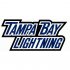 Tampa Bay Lightning Script Logo  Iron-on Stickers (Heat Transfers)