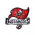 Tampa Bay Buccaneers Logo Patches