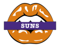 phoenix suns script logo iron on transfers