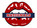 washington nationals script logo iron on transfers