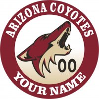 Arizona Coyotes iron on transfer