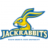 2008-Pres South Dakota State Jackrabbits Alternate Logo Iron-on Stickers (Heat Transfers)