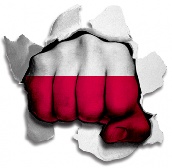 hulk POLAND Flag iron on transfer