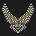 Airforce Vegas Golden Knights logo